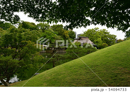 雨の水前寺公園 54094733