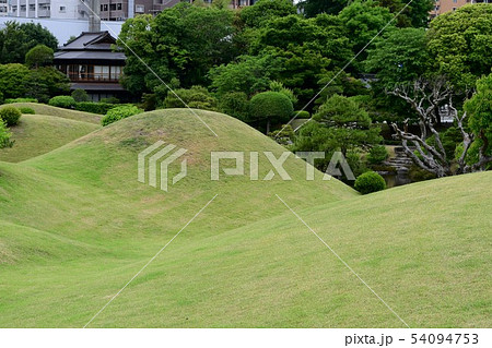 雨の水前寺公園 雨の水前寺公園 54094753