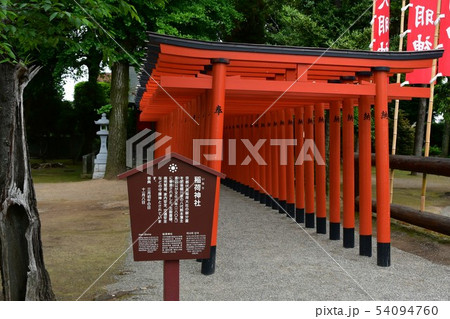 雨の水前寺公園 54094760