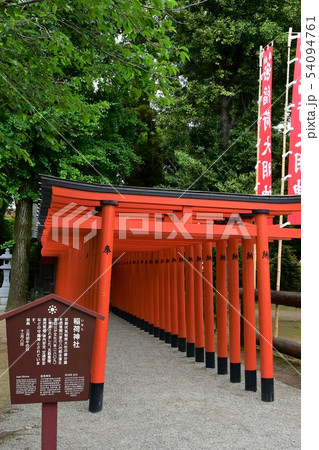 雨の水前寺公園 54094761
