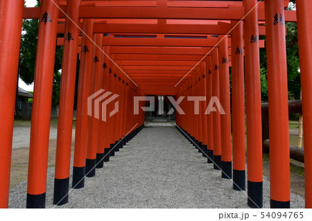 雨の水前寺公園 雨の水前寺公園 54094765