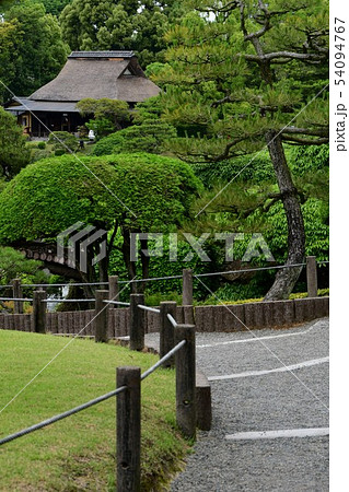 雨の水前寺公園 雨の水前寺公園 54094767