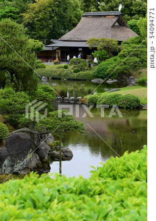 雨の水前寺公園 54094771