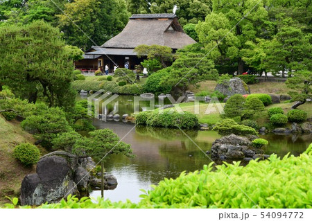 雨の水前寺公園 54094772