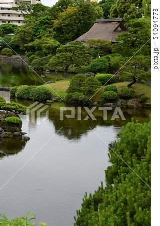 雨の水前寺公園 雨の水前寺公園 54094773