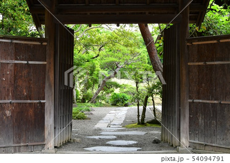 雨の水前寺公園 雨の水前寺公園 54094791
