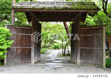 雨の水前寺公園 雨の水前寺公園 54094792