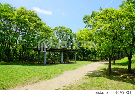 蜻蛉池公園 大阪府 蜻蛉池公園 大阪府 54095901