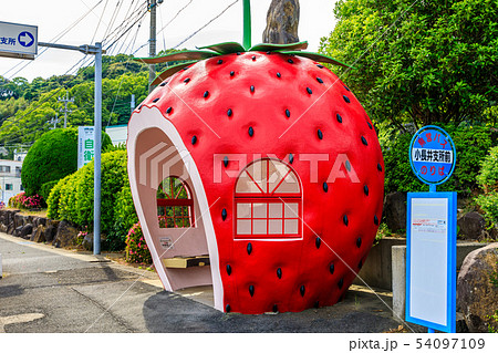小長井町フルーツバス停:イチゴ 【長崎県諫早市小長井町】 小長井町フルーツバス停:イチゴ 【長崎県諫早市小長井町】 54097109