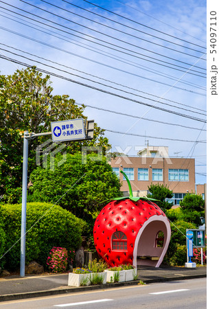 小長井町フルーツバス停：イチゴ　【長崎県諫早市小長井町】 54097110