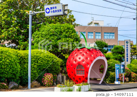 小長井町フルーツバス停:イチゴ 【長崎県諫早市小長井町】 小長井町フルーツバス停:イチゴ 【長崎県諫早市小長井町】 54097111