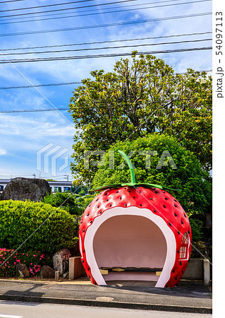 小長井町フルーツバス停：イチゴ　【長崎県諫早市小長井町】 54097113