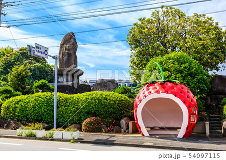 小長井町フルーツバス停:イチゴ 【長崎県諫早市小長井町】 小長井町フルーツバス停:イチゴ 【長崎県諫早市小長井町】 54097115