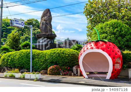 小長井町フルーツバス停：イチゴ　【長崎県諫早市小長井町】 54097116