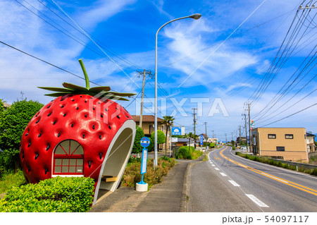 小長井町フルーツバス停:イチゴ 【長崎県諫早市小長井町】 小長井町フルーツバス停:イチゴ 【長崎県諫早市小長井町】 54097117