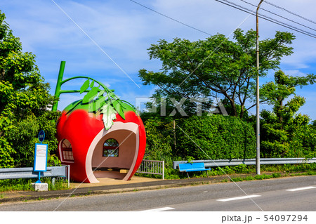 小長井町フルーツバス停：トマト　【長崎県諫早市小長井町】 54097294