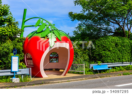 小長井町フルーツバス停 トマト 長崎県諫早市小長井町 の写真素材