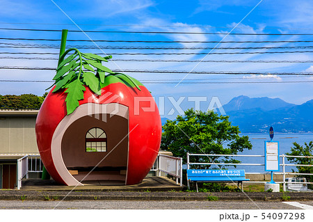 小長井町フルーツバス停：トマト　【長崎県諫早市小長井町】 54097298