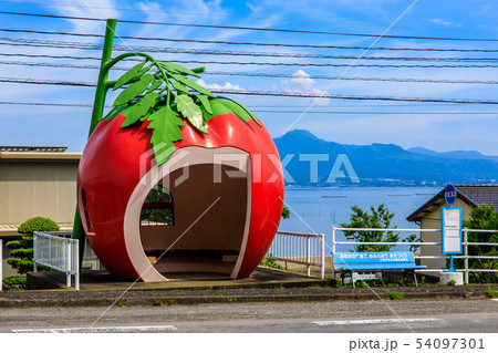 小長井町フルーツバス停:トマト 【長崎県諫早市小長井町】 小長井町フルーツバス停:トマト 【長崎県諫早市小長井町】 54097301