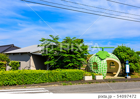 小長井町フルーツバス停：メロン　【長崎県諫早市小長井町】 54097472