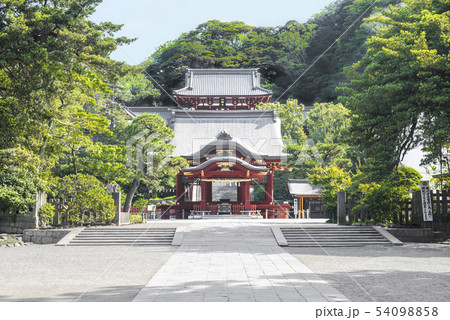 鶴岡八幡宮(鎌倉市雪ノ下) 54098858