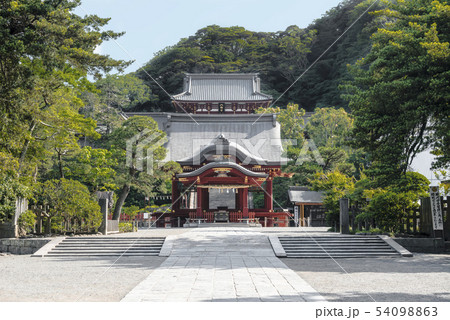 鶴岡八幡宮(鎌倉市雪ノ下) 54098863