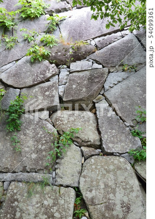 盛岡城の石垣(盛岡城跡公園(岩手公園)/岩手県盛岡市内丸1-37) 盛岡城の石垣(盛岡城跡公園(岩手公園)/岩手県盛岡市内丸1-37) 54099361