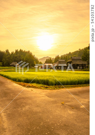 夏の農村風景 (荻ノ島環状集落の夕暮れ) 夏の農村風景 (荻ノ島環状集落の夕暮れ) 54103782