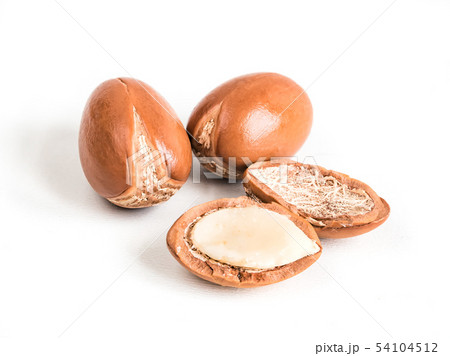 Moroccan argan nuts on wood background close-up isolated white. Argania spinosa seeds. Moroccan argan nuts on wood background close-up isolated white. Argania spinosa seeds. 54104512