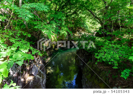 渓谷　殿渕 54105343