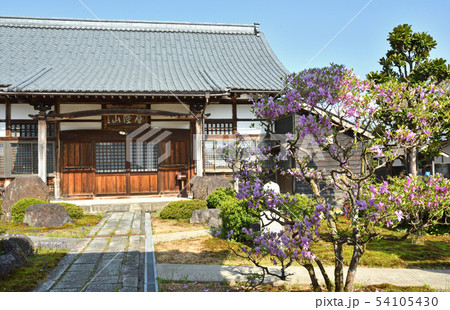越前大野散歩：長興寺　寺町通り 54105430