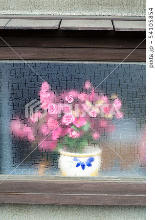 硝子の向こうの花 硝子の向こうの花 54105854