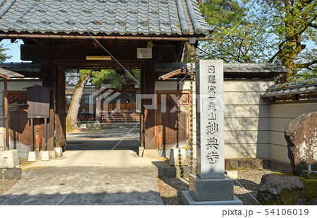越前大野散歩:妙典寺 寺町通り 越前大野散歩:妙典寺 寺町通り 54106019