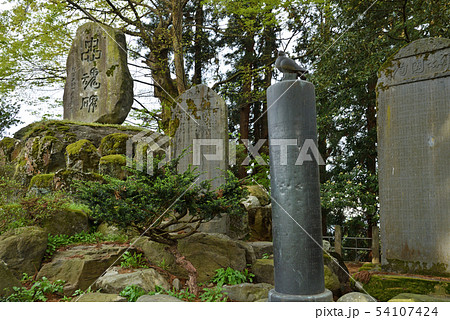 越前大野散歩：日吉神社　忠魂碑 54107424