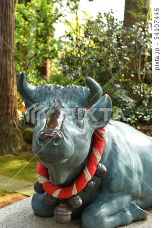 越前大野散歩:日吉神社 天神さんと撫で牛 越前大野散歩:日吉神社 天神さんと撫で牛 54107446