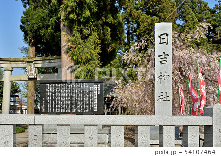 越前大野散歩:日吉神社 越前大野散歩:日吉神社 54107464