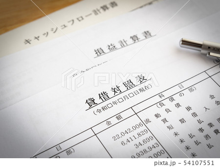 貸借対照表　損益計算書　キャッシュフロー計算書　決算書　収支報告 54107551
