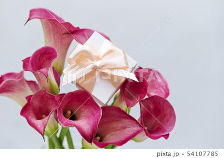 カラーの花とギフトボックスの写真素材