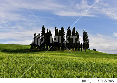 トスカーナ イタリアの 欧州 54107965