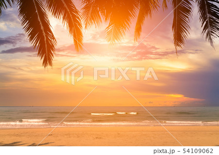 sunset over the sea with coconut tree at summer sunset over the sea with coconut tree at summer 54109062