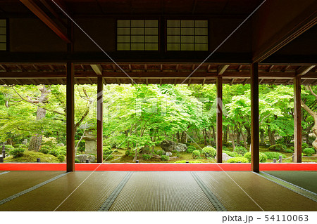 圓光寺　額縁庭園　十牛之庭 54110063