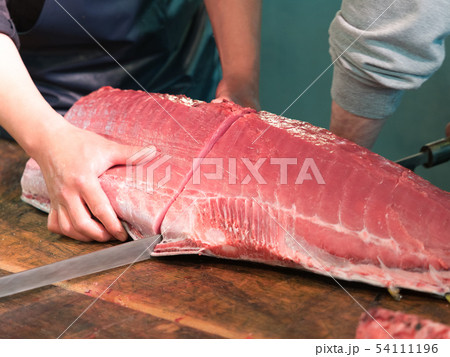 マグロの解体 54111196