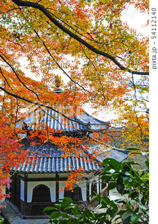 善峯寺の紅葉 善峯寺の紅葉 54112140
