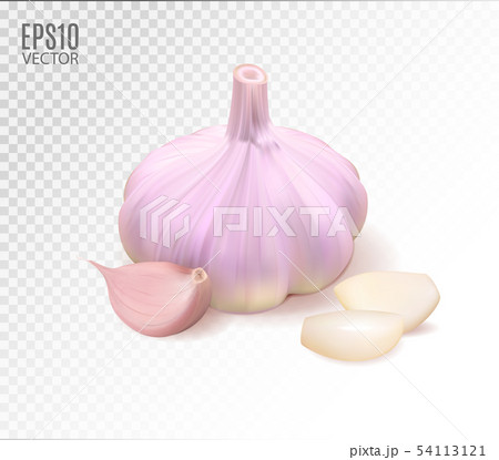 Isolated garlic. Raw garlic with segments isolated on transpaernt background. Quality realistic 54113121