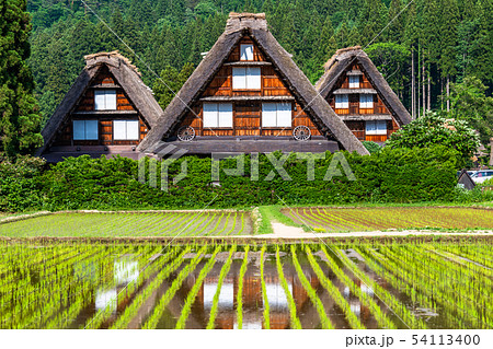 《岐阜県》白川郷合掌造り集落・田植えシーズン 54113400