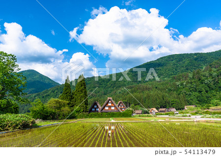 《岐阜県》白川郷合掌造り集落・田植えシーズン 《岐阜県》白川郷合掌造り集落・田植えシーズン 54113479