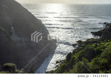 Cape Farewell,South Island New Zealand 54114401
