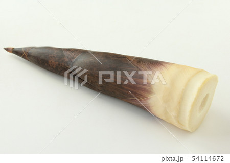 竹の子（真竹） 54114672