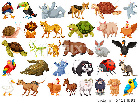 Set of wild animals - Stock Illustration [54114991] - PIXTA