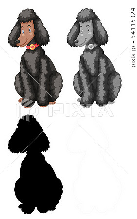 Set of poodle character Set of poodle character 54115024